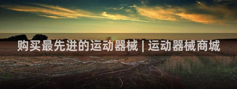 尊龙AG发财网:购买最先进的运动器械 | 运动器械商城