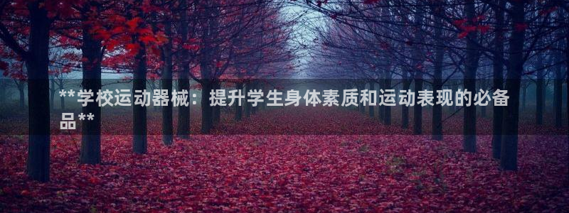 尊龙官网手机版下载:**学校运动器械:提升学生身体素质和运动