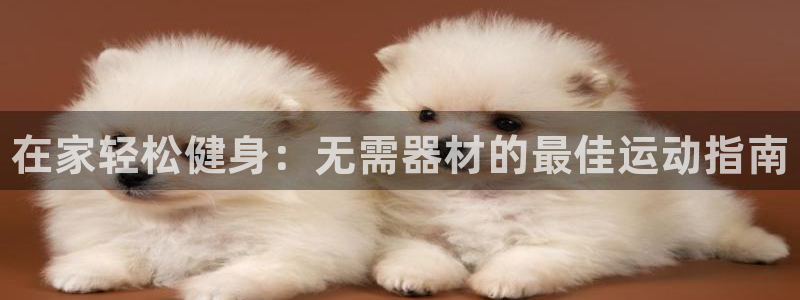 尊龙 6:在家轻松健身:无需器材的最佳运动指南