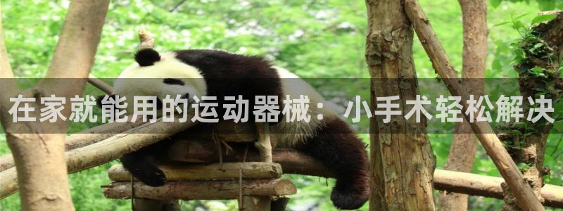 凯时AG网:在家就能用的运动器械:小手术轻松解决