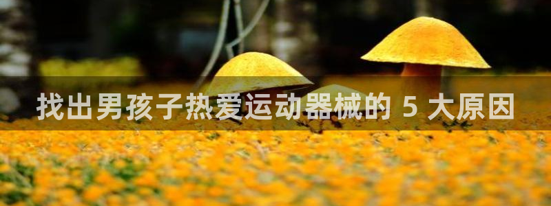 尊龙凯时人生就是搏!官网:找出男孩子热爱运动器械的 5 大原